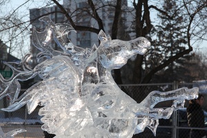 Ice On Whyte